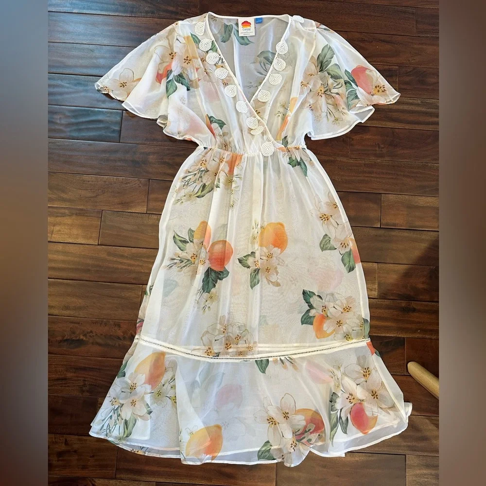 Farm Rio Eloisa Sheer Floral Dress Empire Waist size Small MSRP $280 - Picture 4 of 8